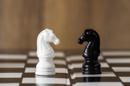 Leadership skills