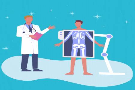 The musculoskeletal system (Bones)