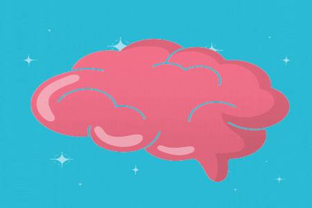 The brain