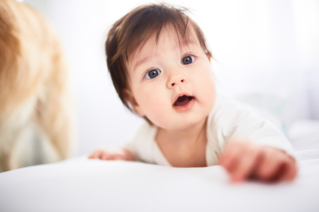Intellectual development in infancy
